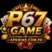 P67 Game